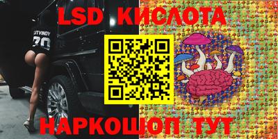 мяу мяу мука Кингисепп