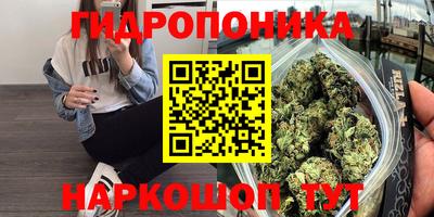 гашик Кинель