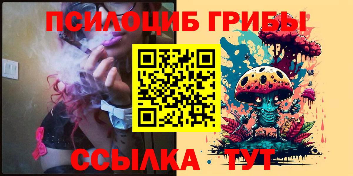 Галлюциногенные грибы прущие грибы Коряжма