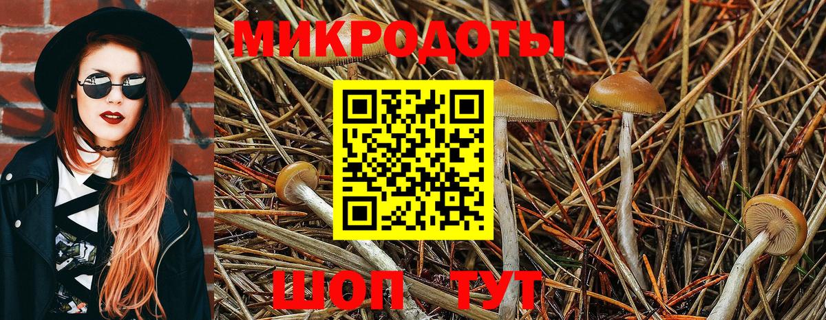 Коряжма  как найти закладки  Вход с VPN  Псилоцибиновые грибы Cubensis 